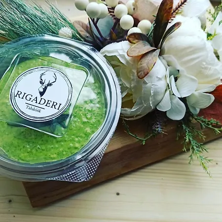 Rigaderi Puhkemaja * Papsaare