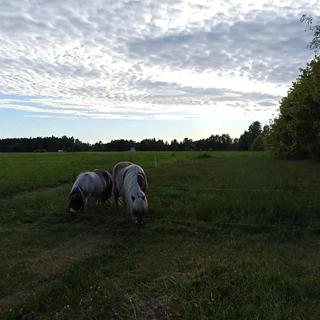 Rigaderi Puhkemaja